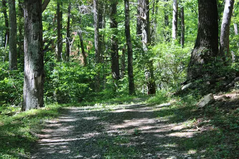 Other - 7923 Poor Mountain Rd, Bent Mountain, VA 24059 photo 33 of 39