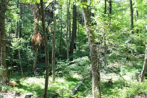 Other - 7923 Poor Mountain Rd, Bent Mountain, VA 24059 photo 38 of 39
