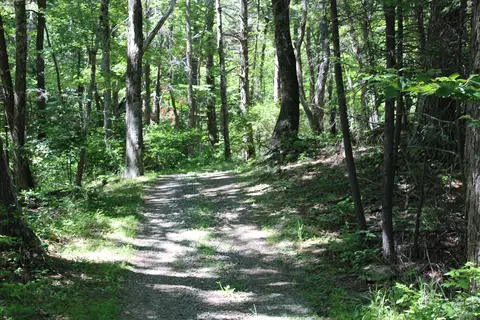Other - 7923 Poor Mountain Rd, Bent Mountain, VA 24059 photo 37 of 39