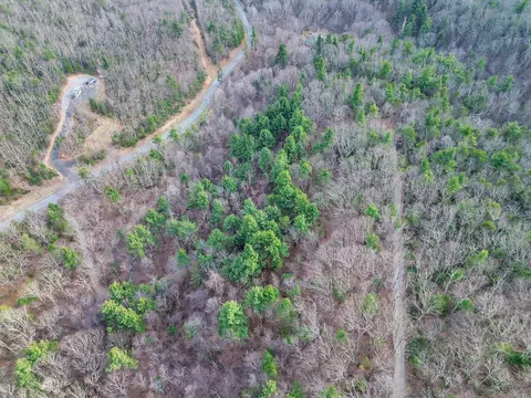 View/Area - 7923 Poor Mountain Rd, Bent Mountain, VA 24059 photo 3 of 10