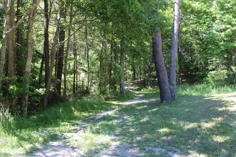 Other - 7923 Poor Mountain Rd, Bent Mountain, VA 24059 photo 35 of 39