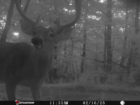 Other - 7923 Poor Mountain Rd, Bent Mountain, VA 24059 photo 25 of 39