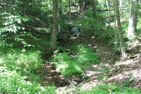 Other - 7923 Poor Mountain Rd, Bent Mountain, VA 24059 photo 32 of 39