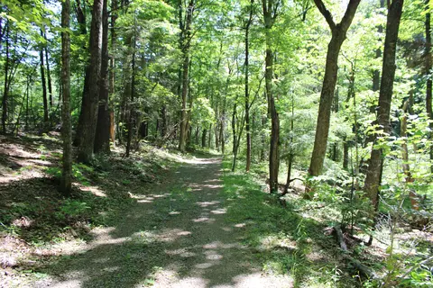 Other - 7923 Poor Mountain Rd, Bent Mountain, VA 24059 photo 28 of 39