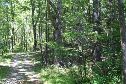 Other - 7923 Poor Mountain Rd, Bent Mountain, VA 24059 photo 36 of 39