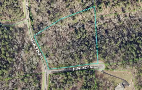 00 Ginseng Ln, Callaway, VA 24067
