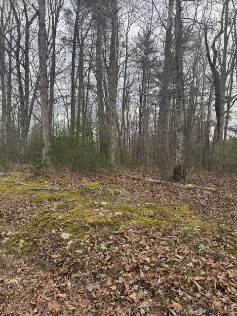 00 Henry Rd, Henry, VA 24102 photo 4