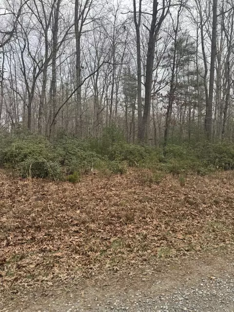 00 Henry Rd, Henry, VA 24102 photo 6