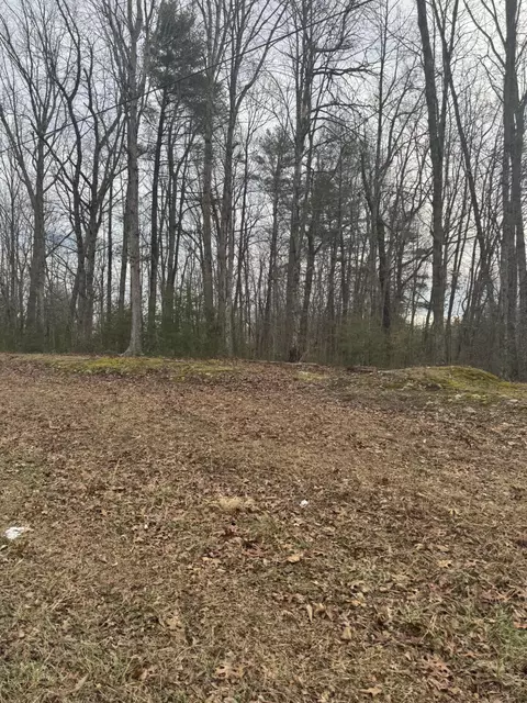 00 Henry Rd, Henry, VA 24102