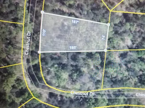 lot45 Chestnut Dr, Hardy, VA 24101