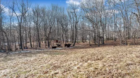 Exterior - 1859 Fort Chiswell Rd, Max Meadows, VA 24360 photo 3 of 20