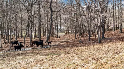 Exterior - 1859 Fort Chiswell Rd, Max Meadows, VA 24360 photo 18 of 20