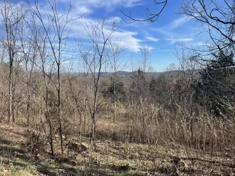 0 Taylors Mountain Rd, Thaxton, VA 24174