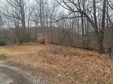 0 Ridge Dr, Goodview, VA 24095 photo 2