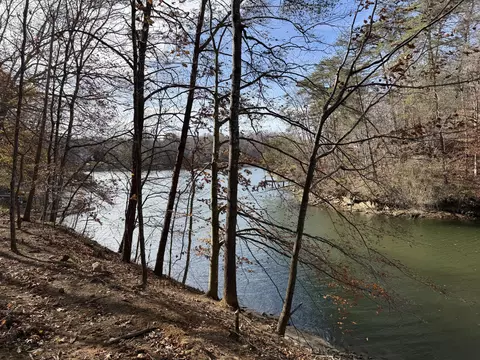 lot9 Tiki Ter, Goodview, VA 24095