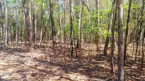 lot130 Harbor Landing Dr, Moneta, VA 24121