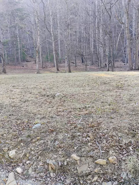 0 Miller Cove Rd, Catawba, VA 24070