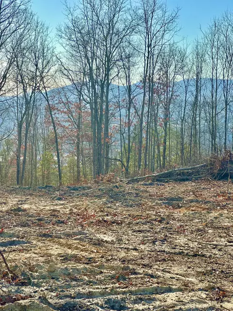 0 Dry Run Overlook, Covington, VA 24426