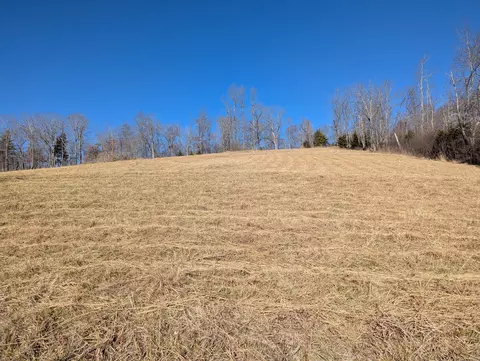 0 Tharp Creek Rd, Ferrum, VA 24088 photo 15