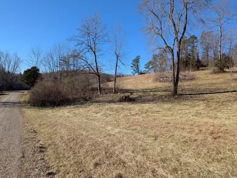 0 Tharp Creek Rd, Ferrum, VA 24088 photo 8