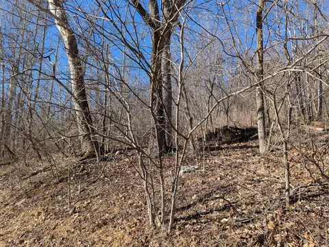 0 Tharp Creek Rd, Ferrum, VA 24088 photo 14
