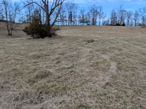 0 Tharp Creek Rd, Ferrum, VA 24088 photo 22
