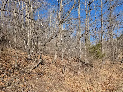 0 Tharp Creek Rd, Ferrum, VA 24088 photo 10