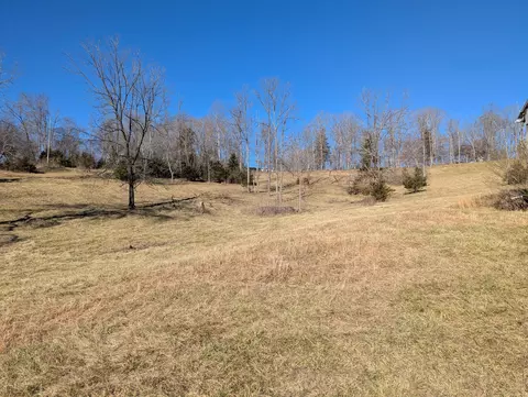 0 Tharp Creek Rd, Ferrum, VA 24088 photo 7