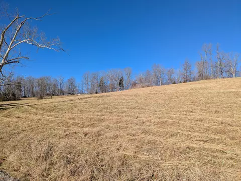 0 Tharp Creek Rd, Ferrum, VA 24088 photo 16
