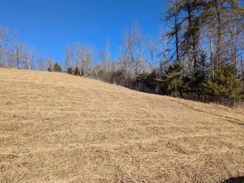 0 Tharp Creek Rd, Ferrum, VA 24088 photo 17