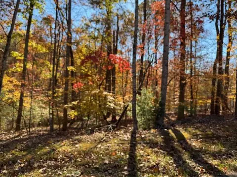 lot48 Gap Bridge Rd, Moneta, VA 24121