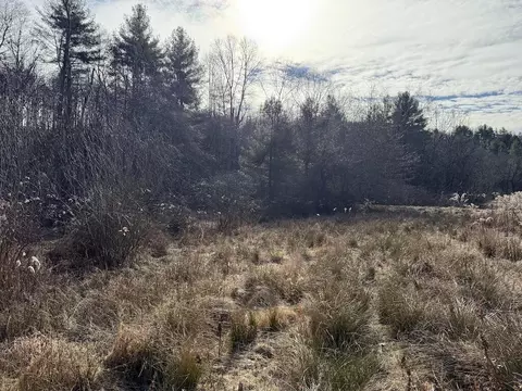 tbd Wilson Cemetery Rd NE, Check, VA 24072 photo 5