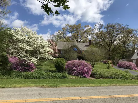 Exterior - 3108 Spring Rd SW, Roanoke, VA 24015 photo 4 of 14