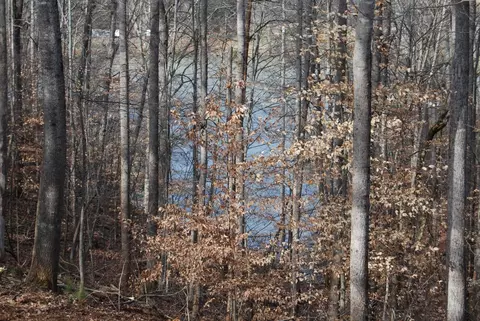lot10 Lake Knoll Rd, Union Hall, VA 24176