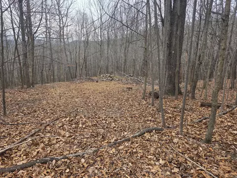 0 Hickory Falls Rd, Blue Ridge, VA 24064
