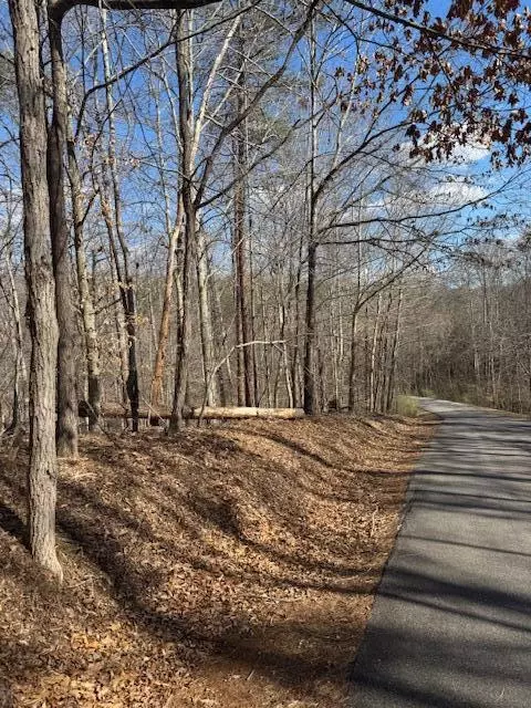 lot1 Gap Bridge Rd, Moneta, VA 24121