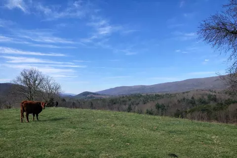 0000 Wolfe Rd, Covington, VA 24426