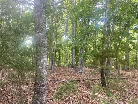 lot19 Robin Ridge Ct, Pittsville, VA 24139
