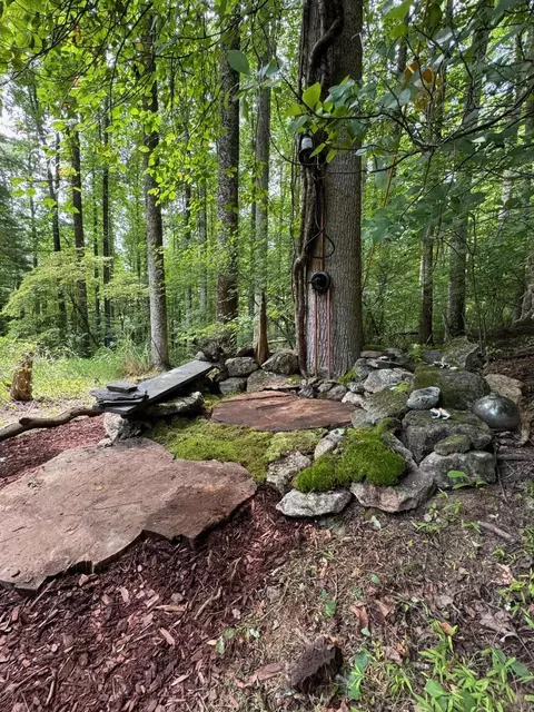Exterior - 9737 Pine Forest Rd NE, Floyd, VA 24091 photo 9 of 14