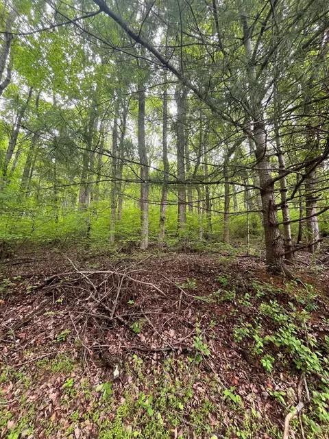 Other - 9737 Pine Forest Rd NE, Floyd, VA 24091 photo 16 of 19