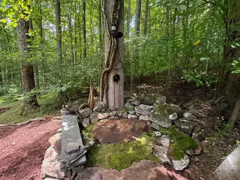 Exterior - 9737 Pine Forest Rd NE, Floyd, VA 24091 photo 5 of 14