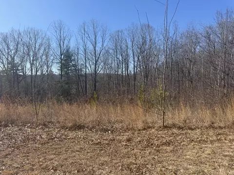 lot11 Thompson Ridge Cir, Ferrum, VA 24088