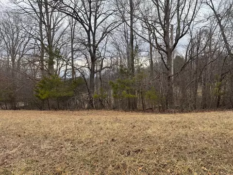 lot59 N Church Dr, Hardy, VA 24101
