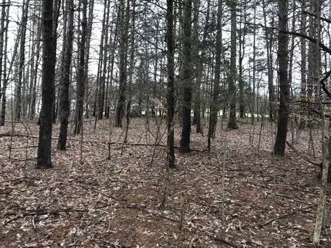 lot17 Oak Hollow Rd, Moneta, VA 24121