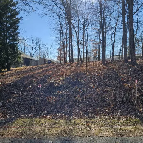 lot59 Macgregor Dr, Blue Ridge, VA 24064