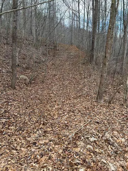 3546 Prillaman Switch Rd, Ferrum, VA 24088 photo 6