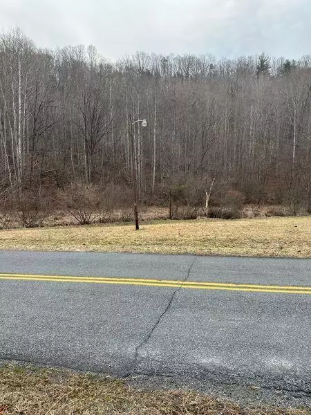 3546 Prillaman Switch Rd, Ferrum, VA 24088 photo 3