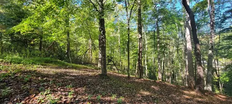 lot56 Summer House Dr, Hardy, VA 24101