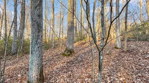 2359 Sago Rd, Penhook, VA 24137 photo 42