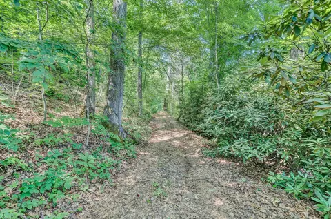 2446 Deer Run Rd, Ferrum, VA 24088 photo 143